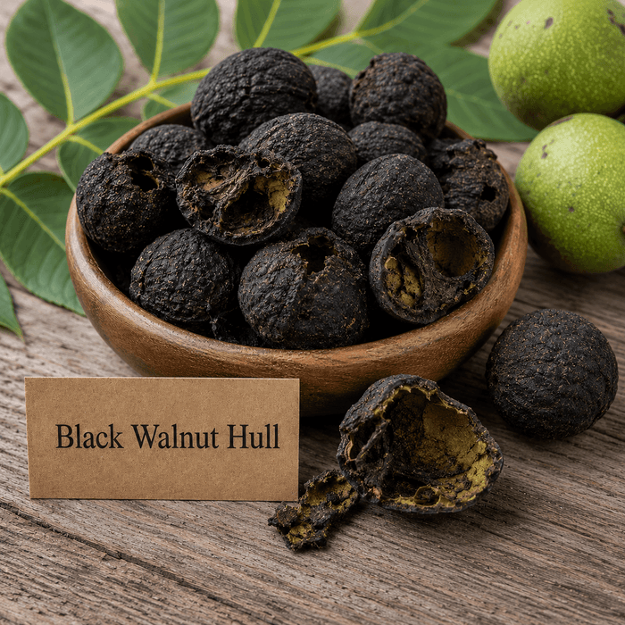 Black Walnut Hull